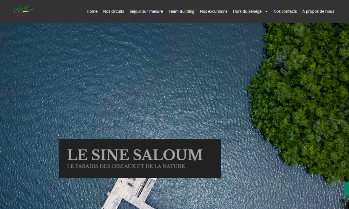 création site web by AMAN